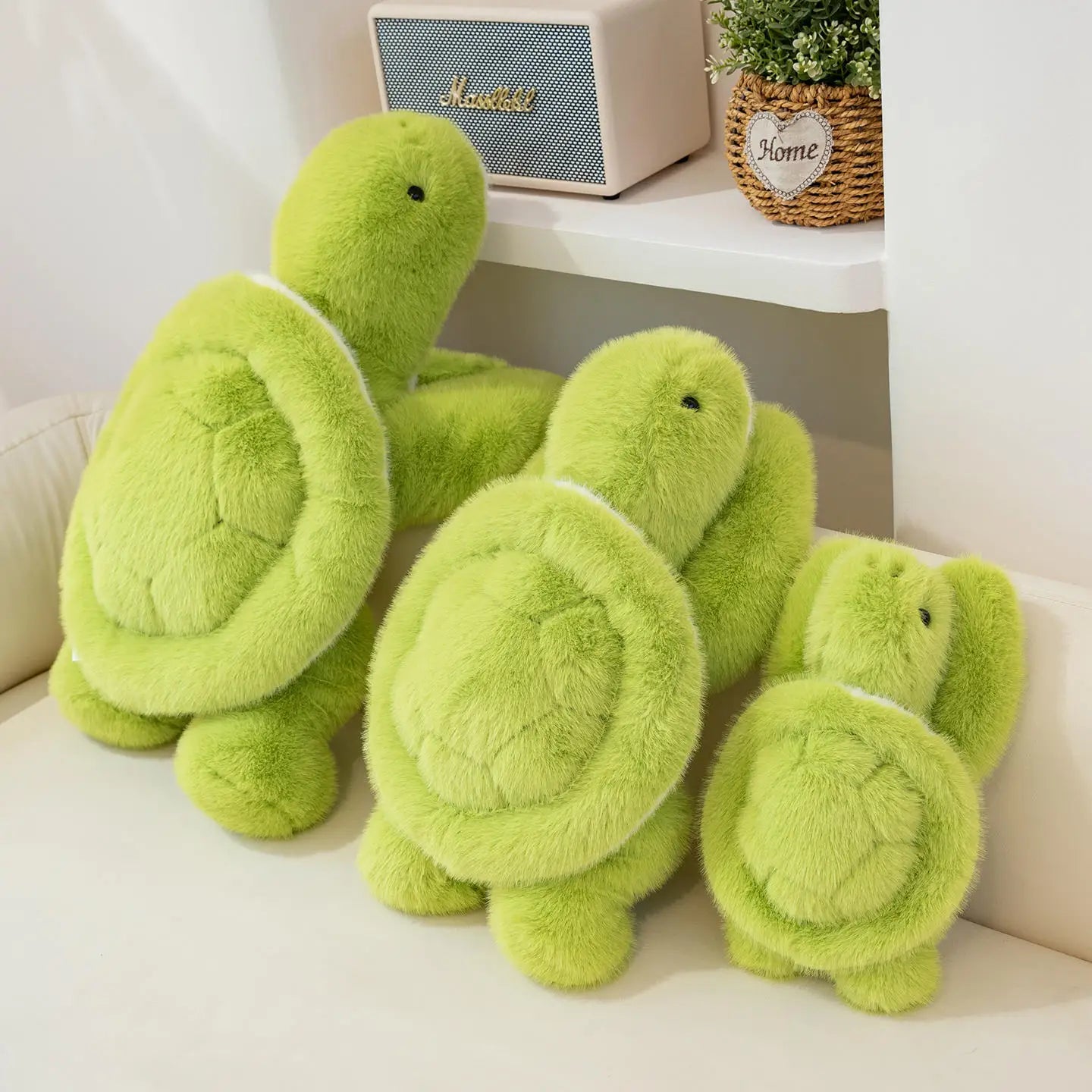 Coleccion Tortoise - Plush